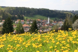Blick auf Ronsberg im Frühjahr